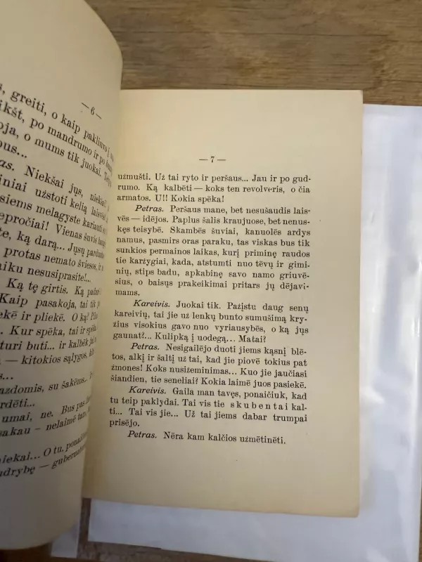 Saliamono sapnas - Bronius Laucevičius-Vargšas, knyga 5