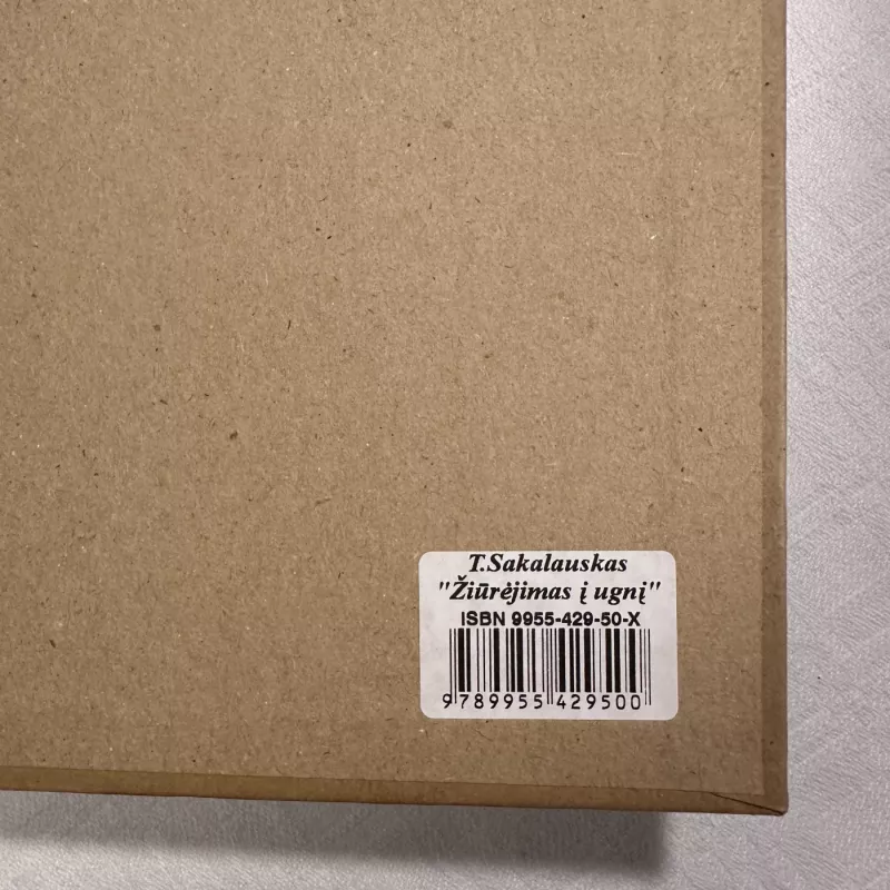 Žiūrėjimas į ugnį. Jurgio Mačiūno, Fluxus kūrėjo, gyvenimas - Tomas Sakalauskas, knyga 5