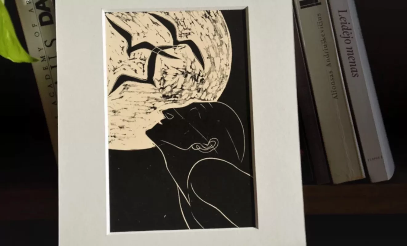 Stasys Krasauskas Siekimas - , namai ir interjeras 3