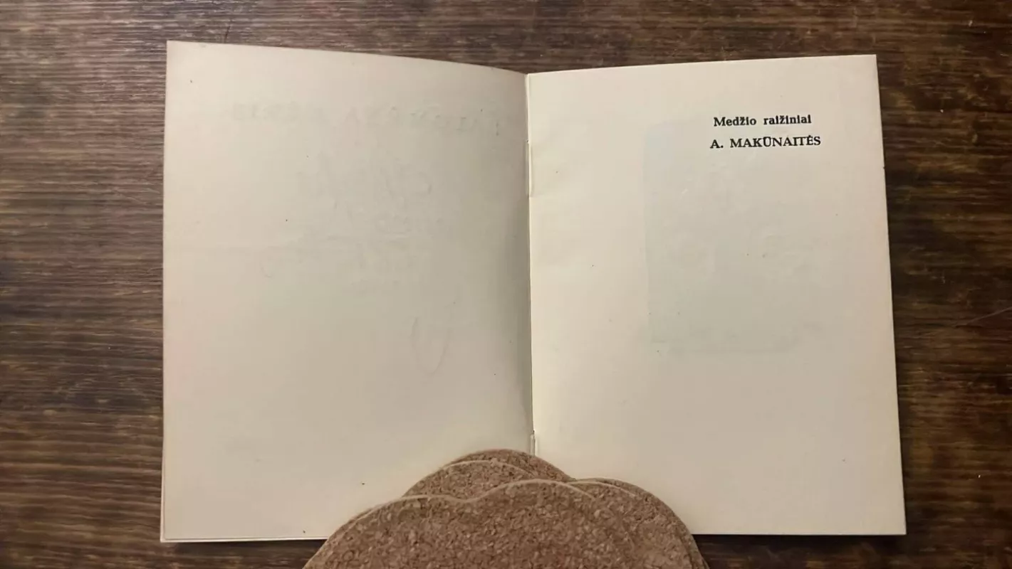 Širdis man Audrų pilna (Miniatiūrinė knyga) - Salomėja Nėris, knyga 4