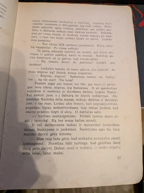 Viktutė -  Šatrijos Ragana, knyga 3