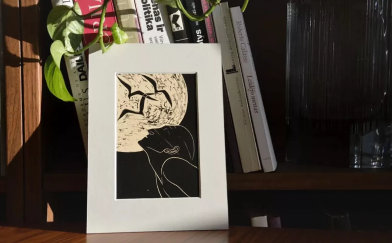 Stasys Krasauskas Siekimas - , namai ir interjeras 2