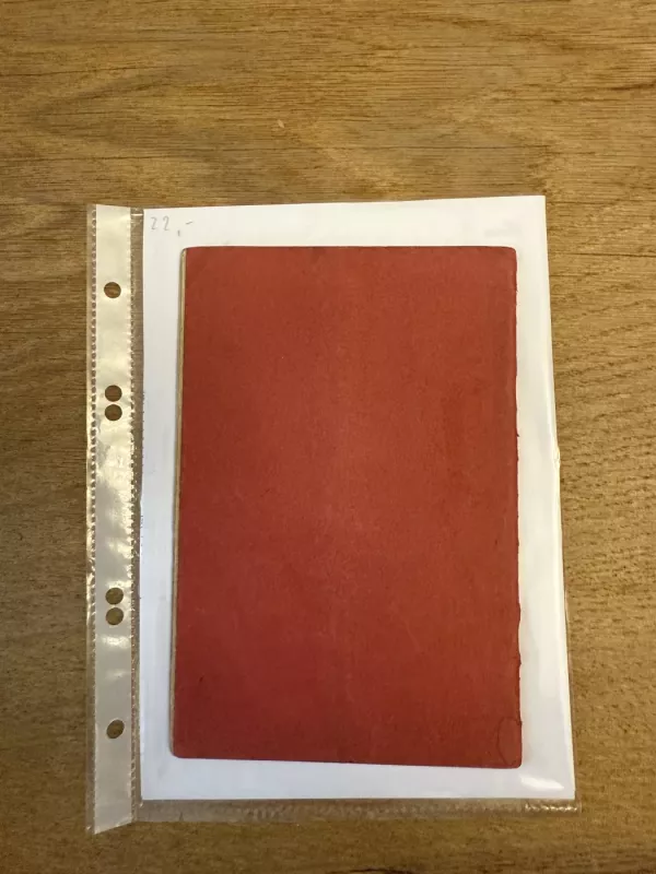 Penktas prisakymas - Bronius Laucevičius-Vargšas, knyga 6