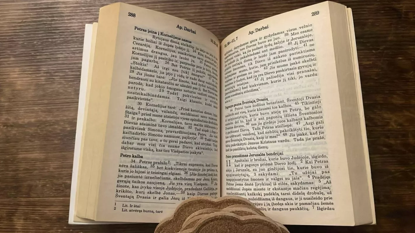 Naujasis testamentas - Algirdas Jurėnas, knyga 5