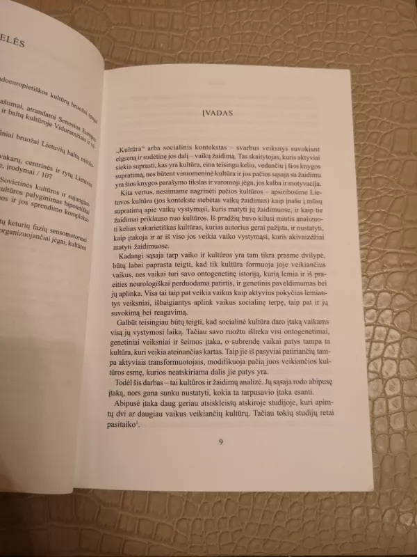 Žaidimas ir kultūra lietuvoje - Joseph Dambrauskas, knyga 6