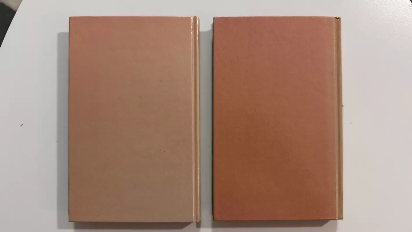 Vikontas De Braželonas 2 dalys - Aleksandras Diuma, knyga 6