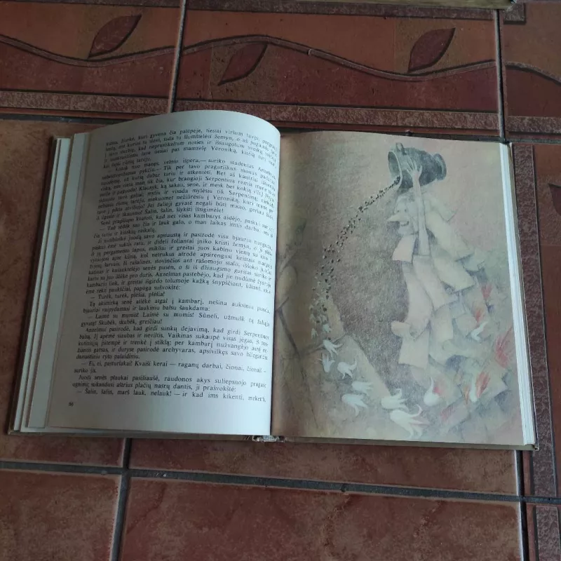 Aukso puodas ir kitos istorijos - Ernstas Teodoras Amadėjus Hofmanas, knyga 4