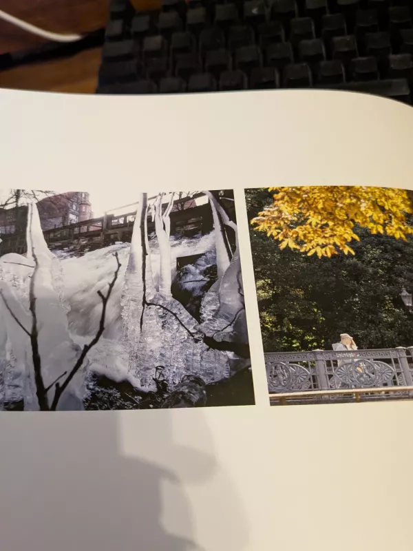 Augenblick in Luneburg - Berit Neb, Carolin George, Andreas Tamme, Hans-Jurgen Wege, knyga 3