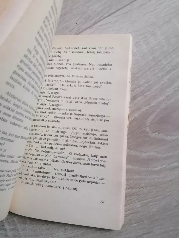 Rugiuose prie bedugnės - Džeromas Selindžeris, knyga 3