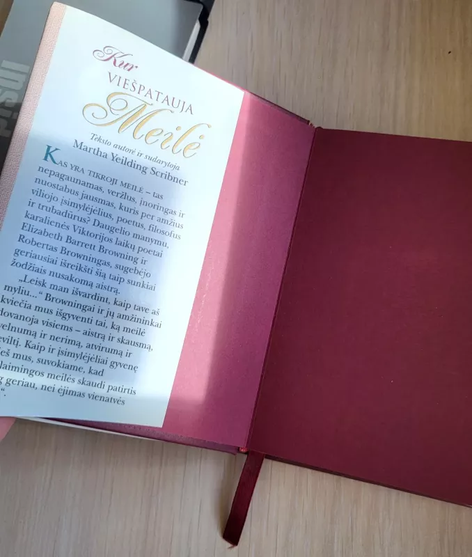 Kur viešpatauja Meilė - Autorių Kolektyvas, knyga 6