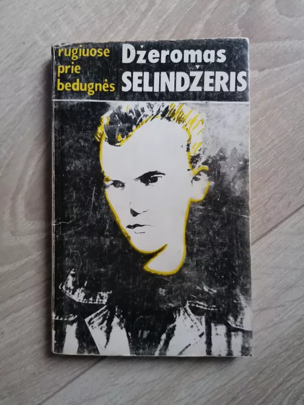 Rugiuose prie bedugnės - Džeromas Selindžeris, knyga 2