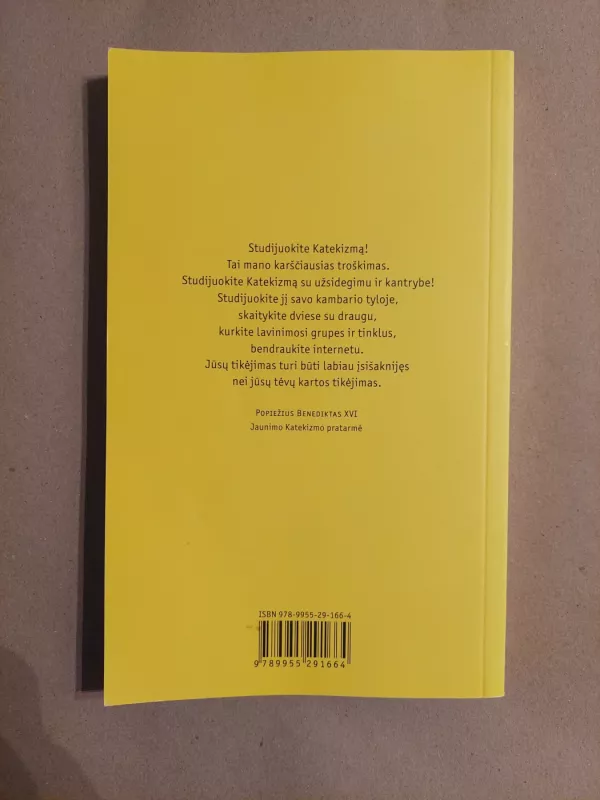 Youcat. Lietuviškas jaunimo katekizmas - Nihil Obstat, knyga 3