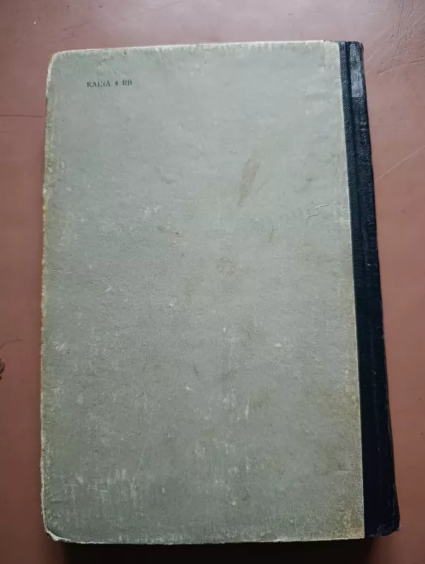 Portugalijos karalius - Selma Lagerlöf, knyga 4