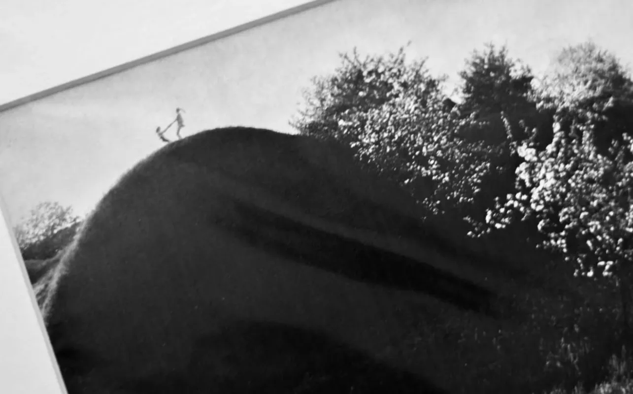 Romualdas Rakauskas Žydėjimas - , namai ir interjeras 3