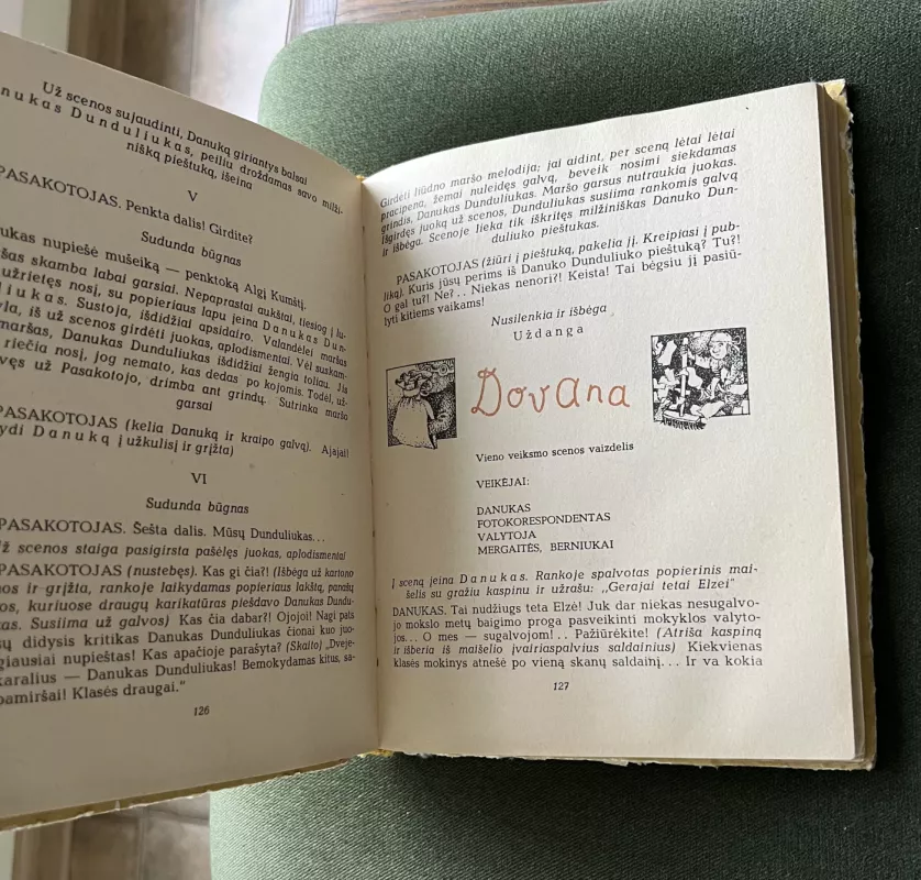 Danuko Dunduliuko nuotykiai - Vytautas Misevičius, knyga 5