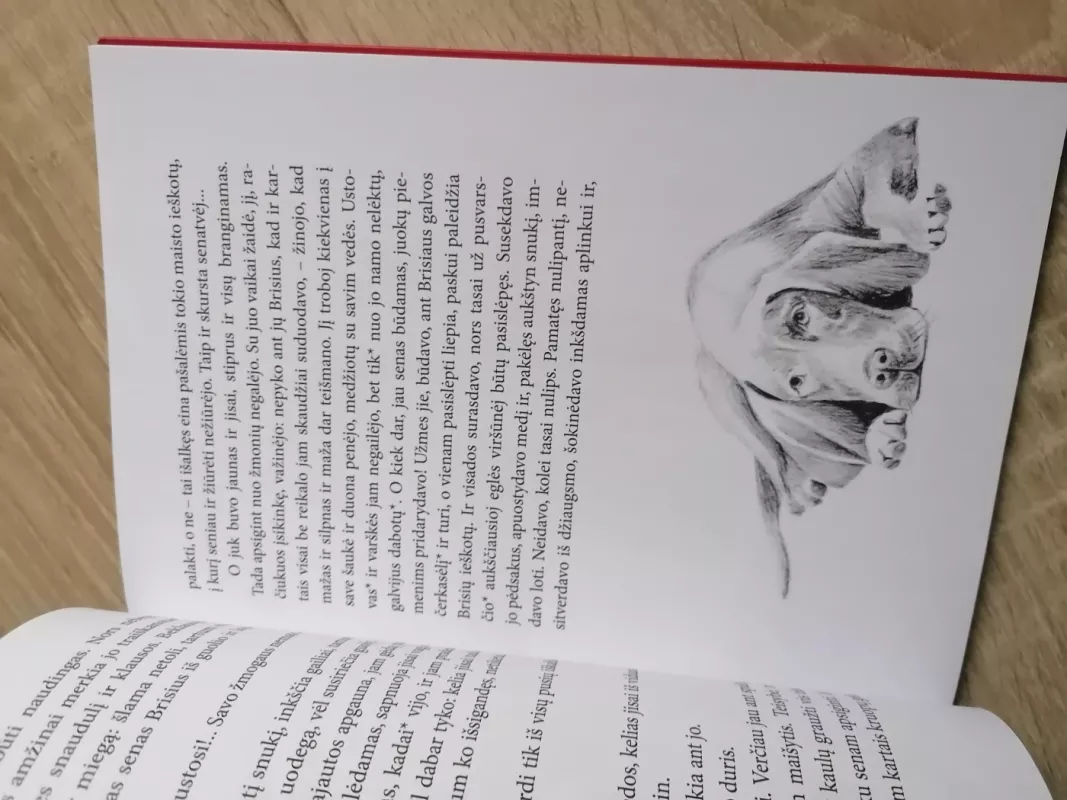 Brisiaus galas - Jonas Biliūnas, knyga 4