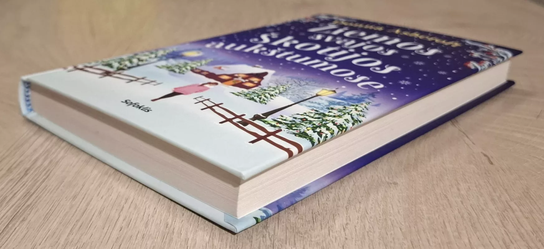 Žiemos svajos Škotijos aukštumose - Donna Ashcroft, knyga 5