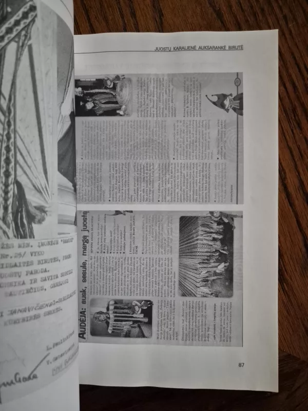 Juostų karalienė auksarankė Birutė - Stasys Romas Janavičius, knyga 4