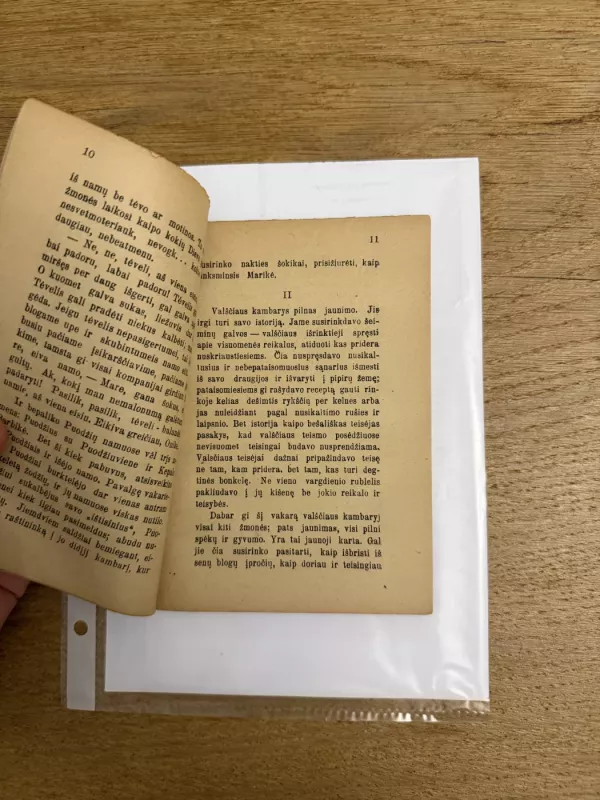 Marikė - Bronius Laucevičius-Vargšas, knyga 4