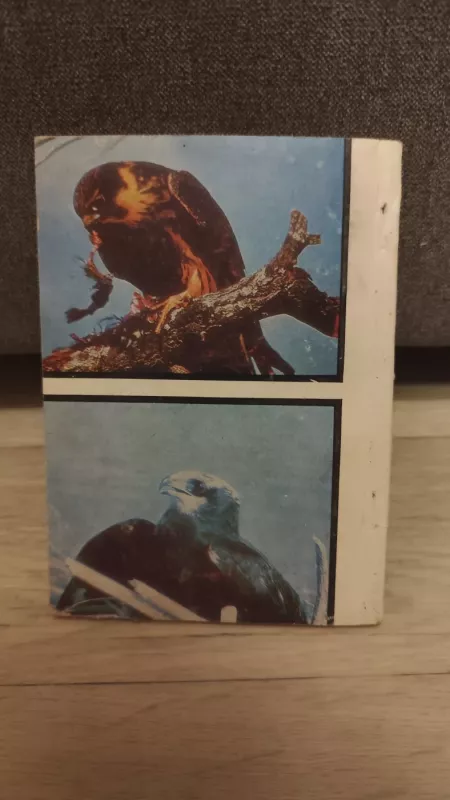 Pelėdos ir plėšrieji paukščiai - E.Drobelis B., E.Drobelis B.Šablevičius, knyga 4