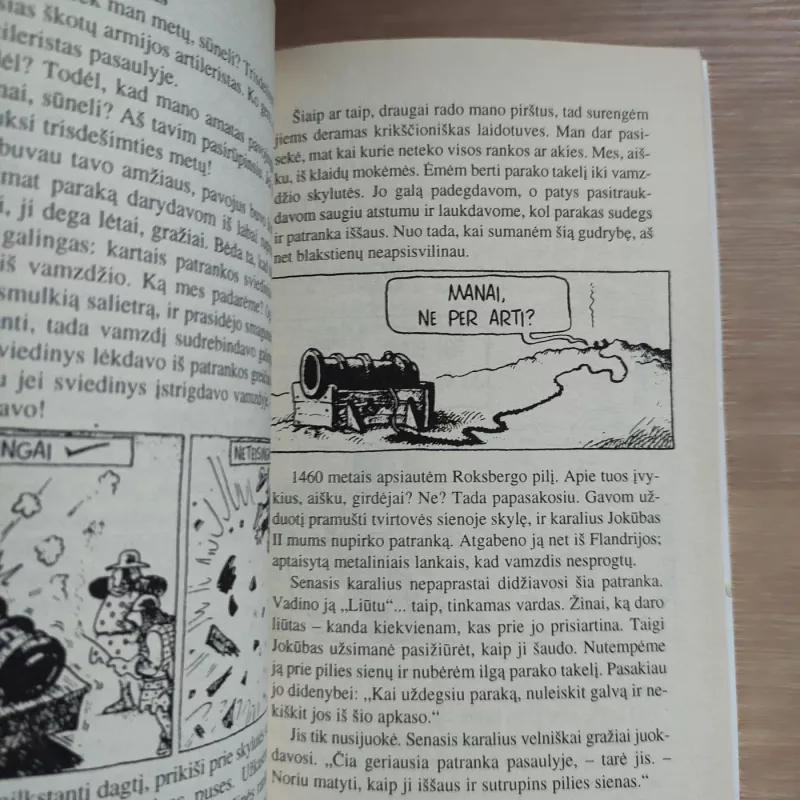Krrraupioji istorija. Rūstieji riteriai ir pamėkliškos pilys - Terry Deary, knyga 5