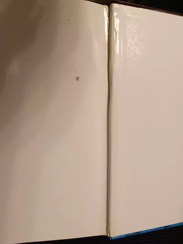 Matematika ir pasaulis 5 klasei - Nijolė Cibulskaitė, knyga 4