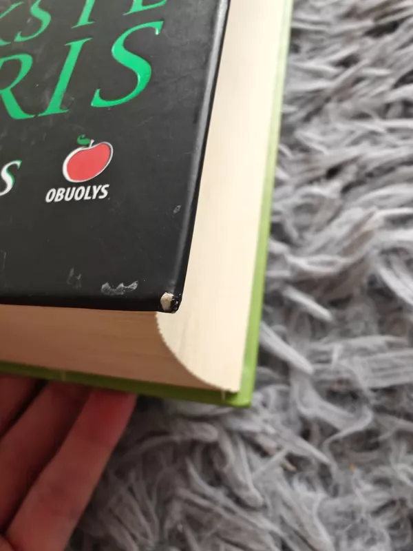 PIRMYKŠTĖ MOTERIS. Kelionė per lygumas - Jean M. Auel, knyga 4