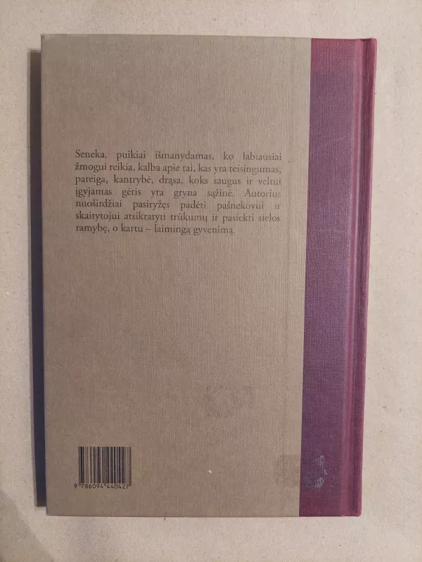 Apie tai, kas svarbiausia. Pašnekesiai - Lucijus Anėjus Seneka, knyga 3