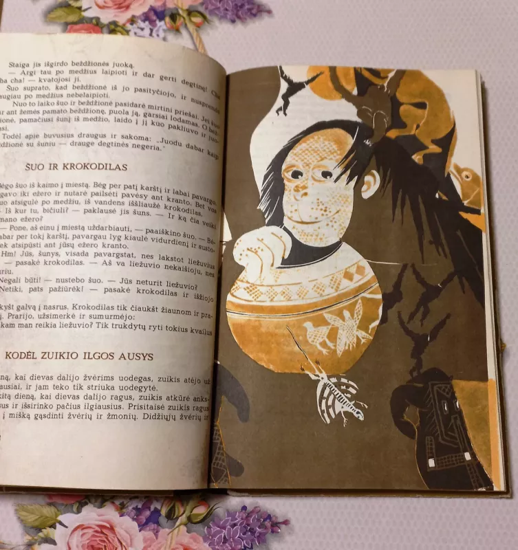 Lapė ir liūtas. Afrikos pasakos - Autorių kolektyvas (įvairūs), knyga 4