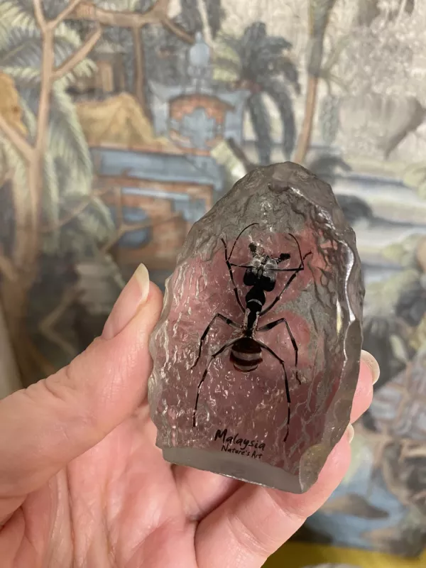 Suvenyras su vabalu iš Malaizijos - , namai ir interjeras 5