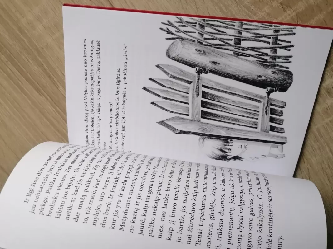 Brisiaus galas - Jonas Biliūnas, knyga 6