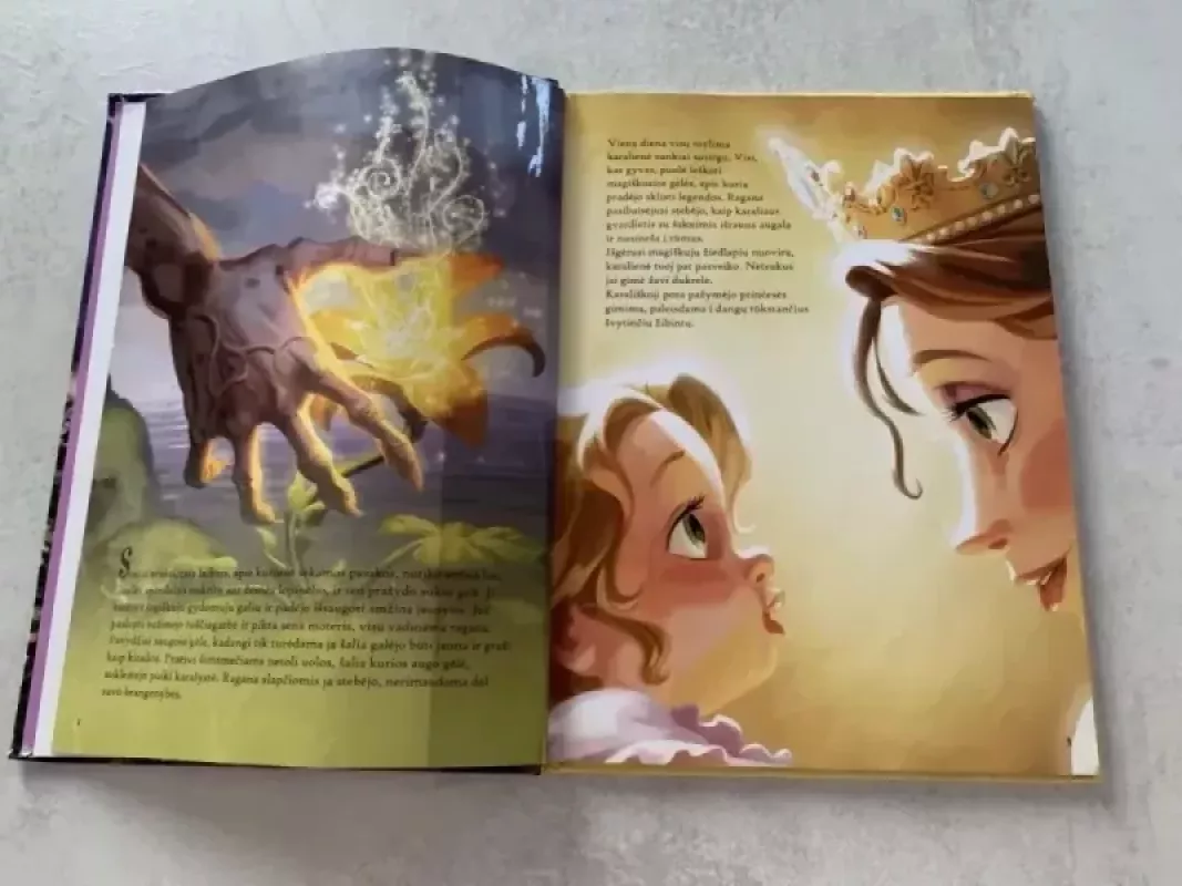 Ilgo plauko istorija - Walt Disney, knyga 4