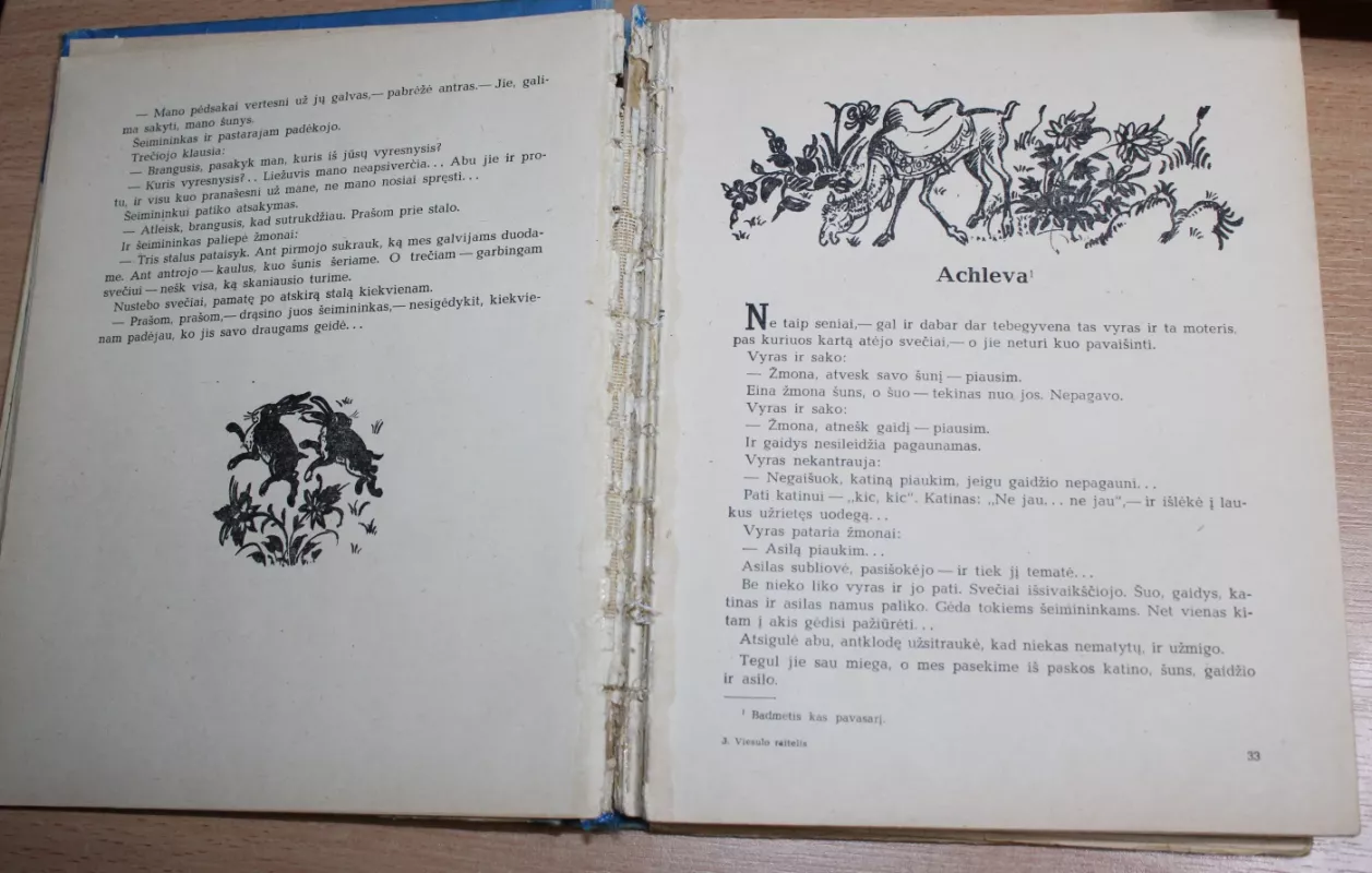 Kurdų pasakos. Viesulo raitelis - Autorių Kolektyvas, knyga 4