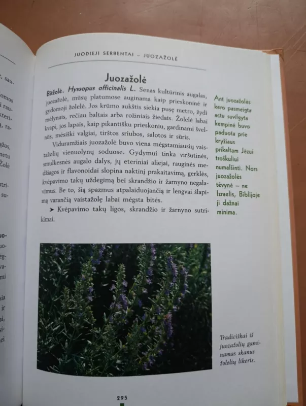 Liaudies gydymo menas: gydymas gamtos galiomis - Cavelius A., Frohn B., knyga 6