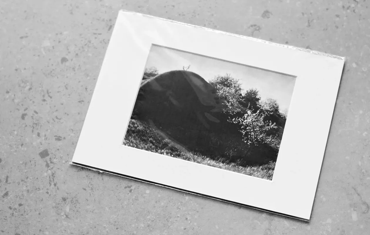 Romualdas Rakauskas Žydėjimas - , namai ir interjeras 4