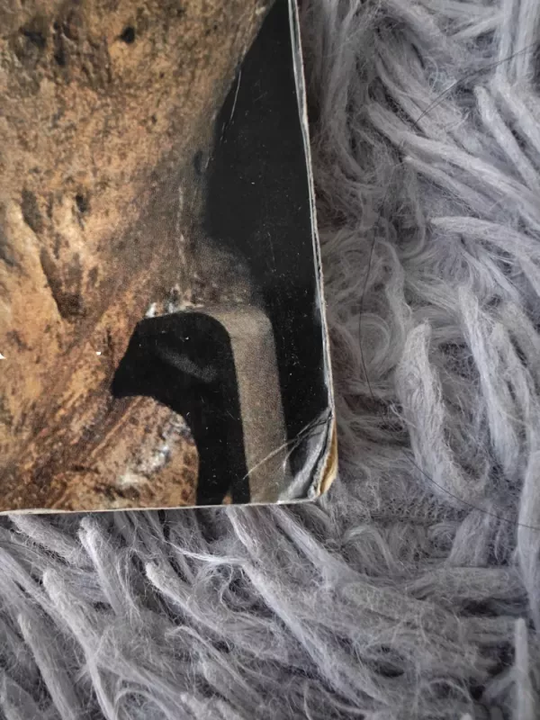 Keltai - T.G.E. Powell, knyga 4