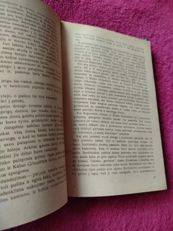 Sugrįžimas pas dakotus - Lizelotė Velskopf-Henrich, knyga 4