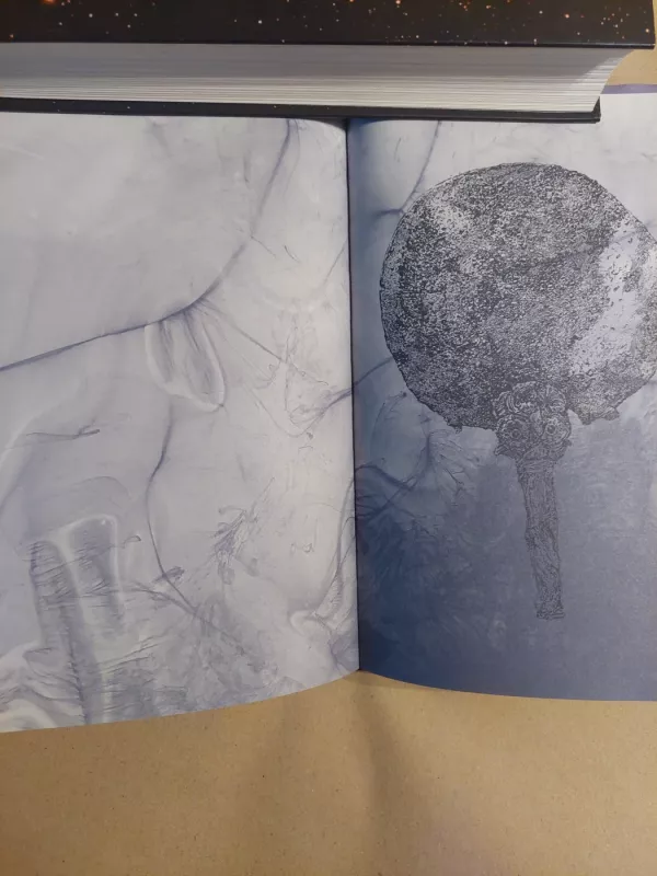 Sonetai Orfėjui: parašyti kaip antkapinis paminklas Werai Ouckamai Knoop, Château de Muzot 1922 vasaris - Raineris Marija Rilkė, knyga 4