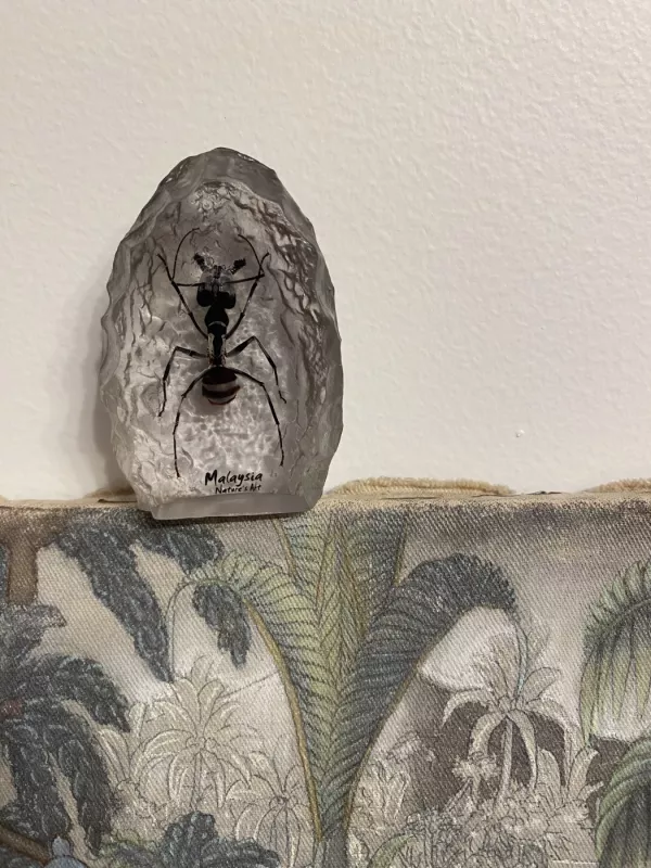 Suvenyras su vabalu iš Malaizijos - , namai ir interjeras 3