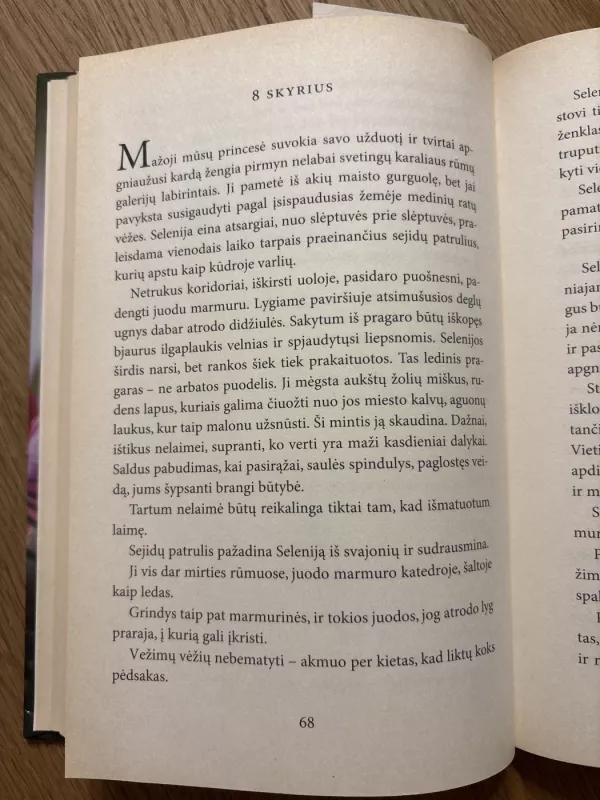 Artūras ir uždraustasis miestas - Luc Besson, knyga 3