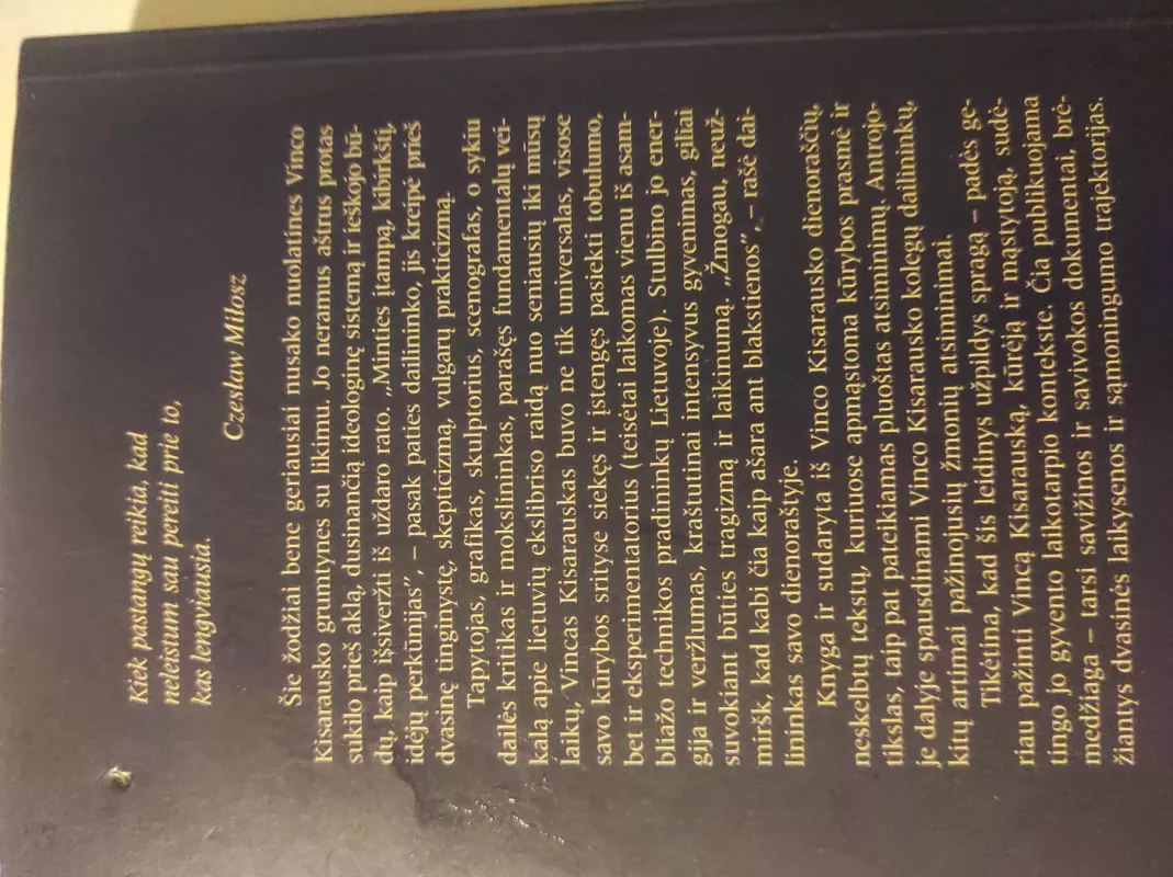 Vincas Kisarauskas : dienoraščiai, atsiminimai - Saulė Kisarauskienė, knyga 3