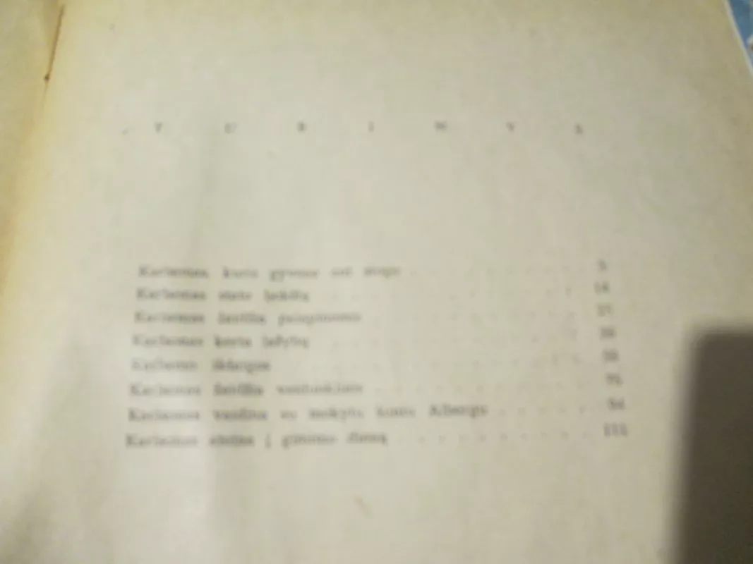 Mažylis ir Karlsonas,kuris gyveno ant stogo - Astrid Lindgren, knyga 5