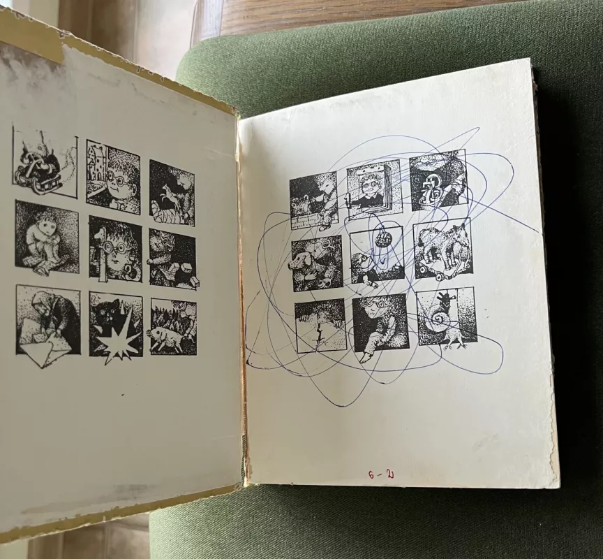 Danuko Dunduliuko nuotykiai - Vytautas Misevičius, knyga 6