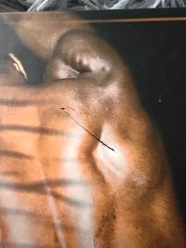 Tigro jausmas - Benita Cantieni, knyga 4