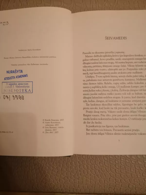 Vasario upės - Antanas Ramonas, knyga 5