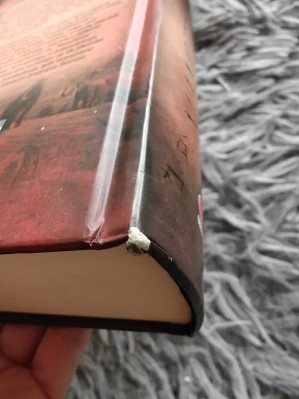 Pirmykštė moteris. Mamutų medžiotojai (3 knyga) - J. M. Auel, knyga 4