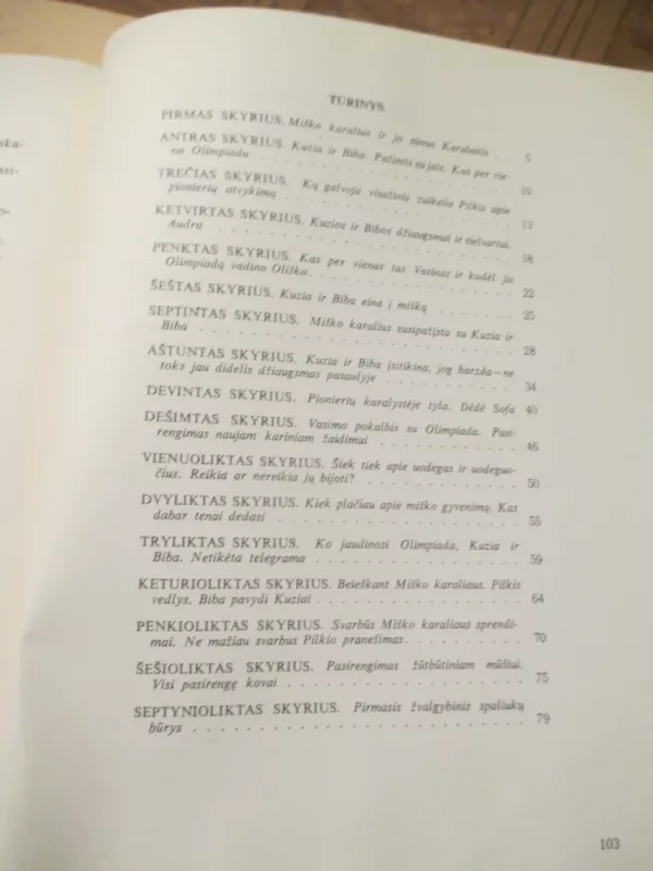 Pasaka apie Miško karalių ir Pionierių karalystę - Sergejus Baruzdinas, knyga 5