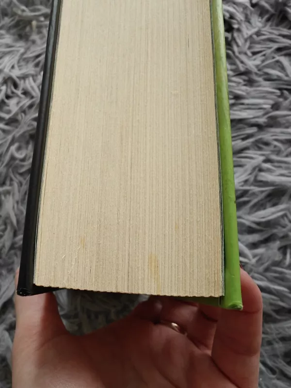 PIRMYKŠTĖ MOTERIS. Kelionė per lygumas - Jean M. Auel, knyga 3