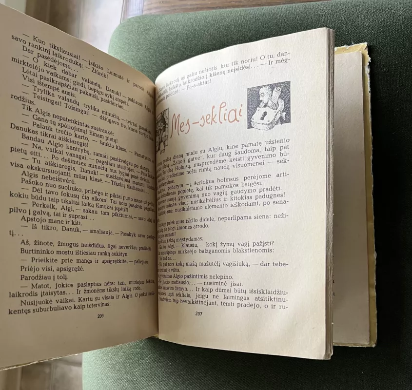 Danuko Dunduliuko nuotykiai - Vytautas Misevičius, knyga 4