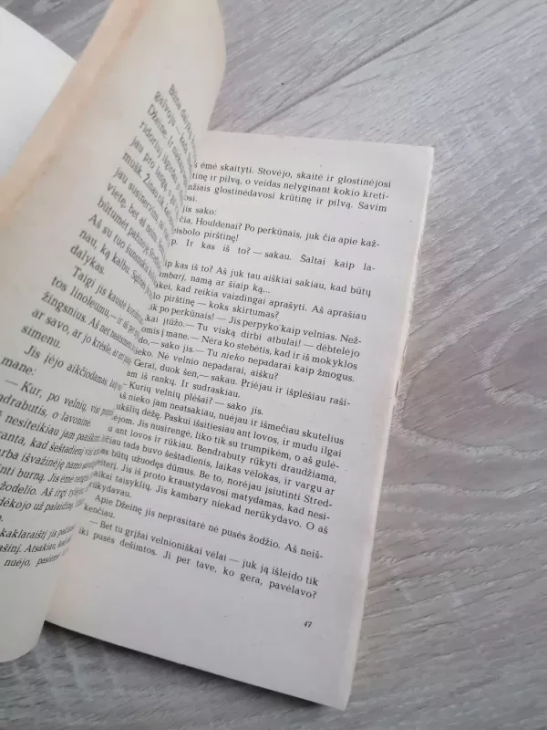 Rugiuose prie bedugnės - Džeromas Selindžeris, knyga 4